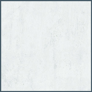 挪威灰?guī)r_副本.jpg 挪威灰?guī)r_副本.jpg