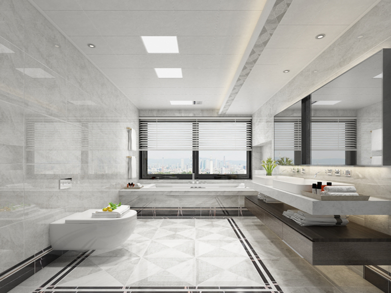 1卡米利亞衛(wèi)浴.jpg 1卡米利亞衛(wèi)浴.jpg